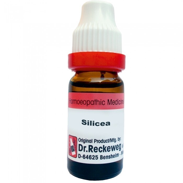 Dr. Reckeweg Silicea Dilutions 6CH 30CH 200CH 1M 10M 50M CM 11ml FREE SHIPPING