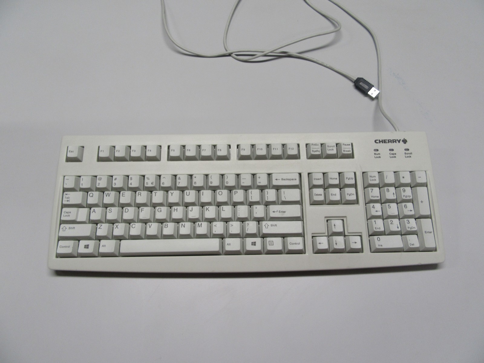 Vintage Cherry RS 6000 USB Mechanical Computer Keyboard Beige