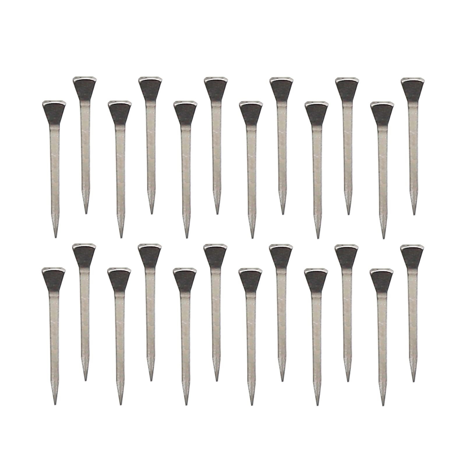 UOIENRT 250Pcs E5 Horseshoe Nails (2 Inch), Stainless Steel Horse Hoof Nails ...