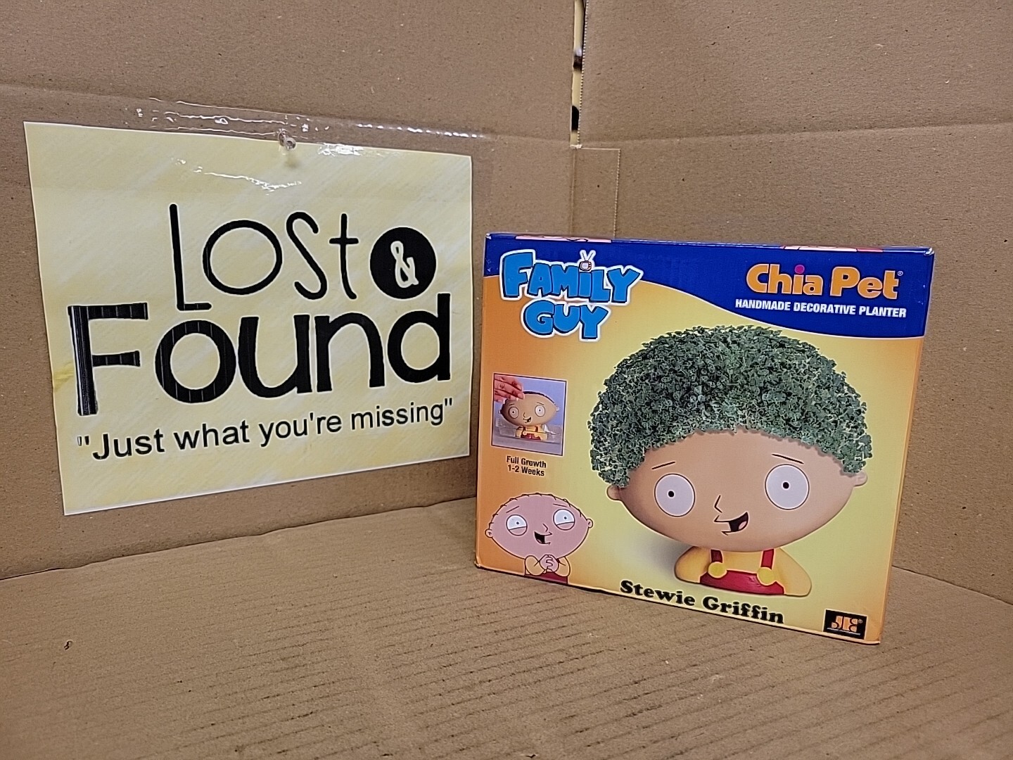 Stewie Griffin Chia Pet Family Guy Planter *NEW