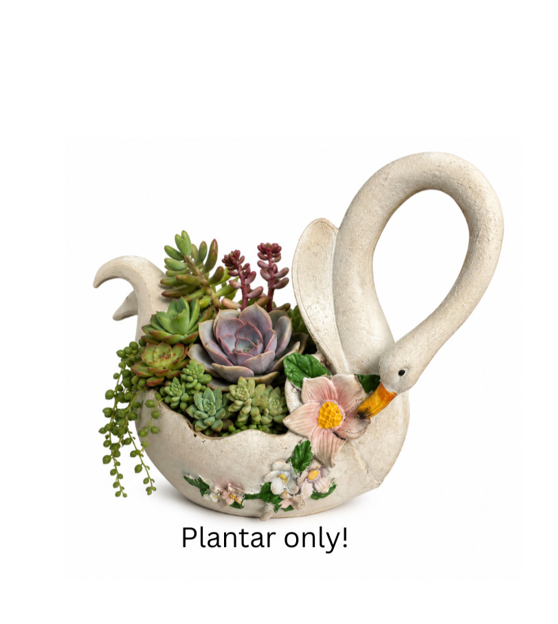 Handmade Ceramic Swan Planter with Floral Accents