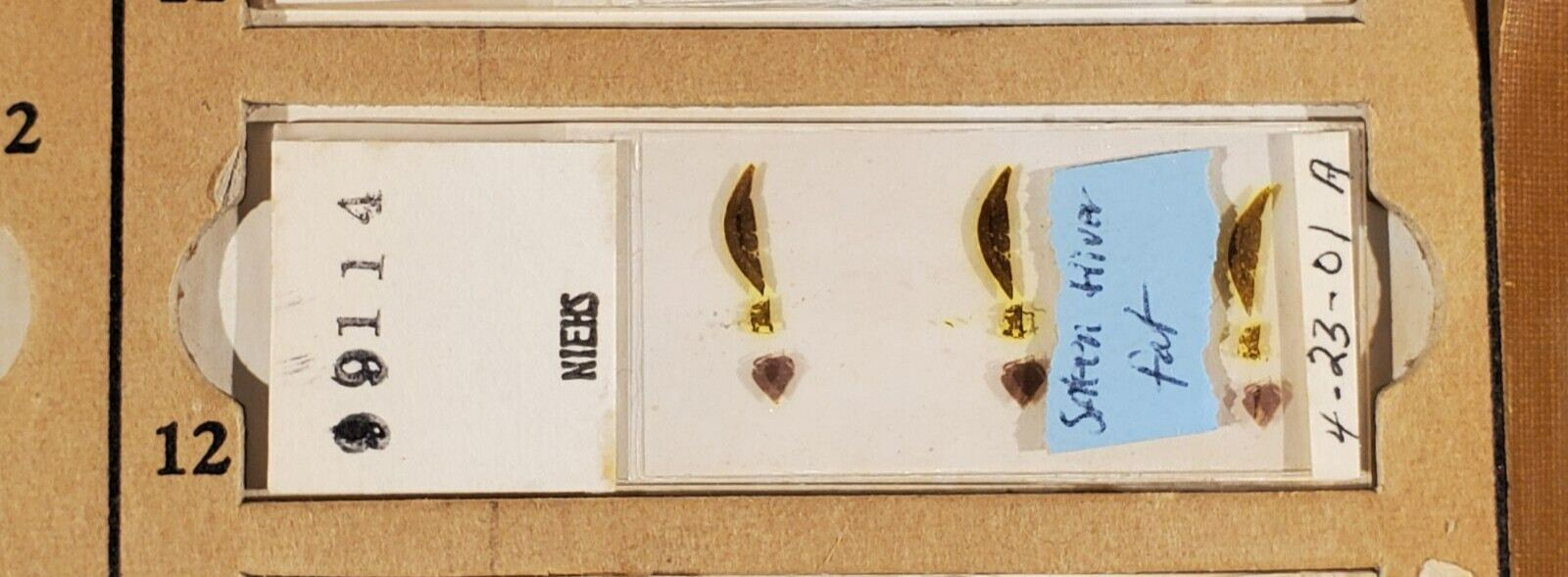 Vintage Microscope Glass Slide ~ NIEHS ~ Histology Pathology ~ Liver 12
