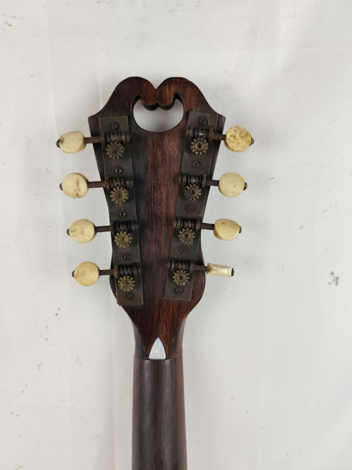 Mandolin 4/4 E. De Cristofaro 1901 Naples 曼陀林 만돌린マンドリン