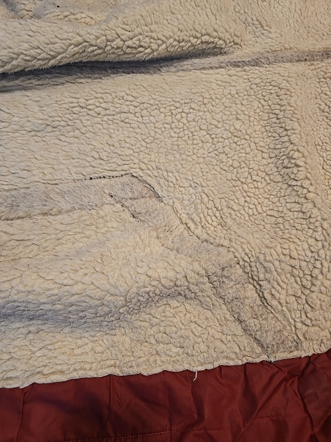 Horse Blanket 66
