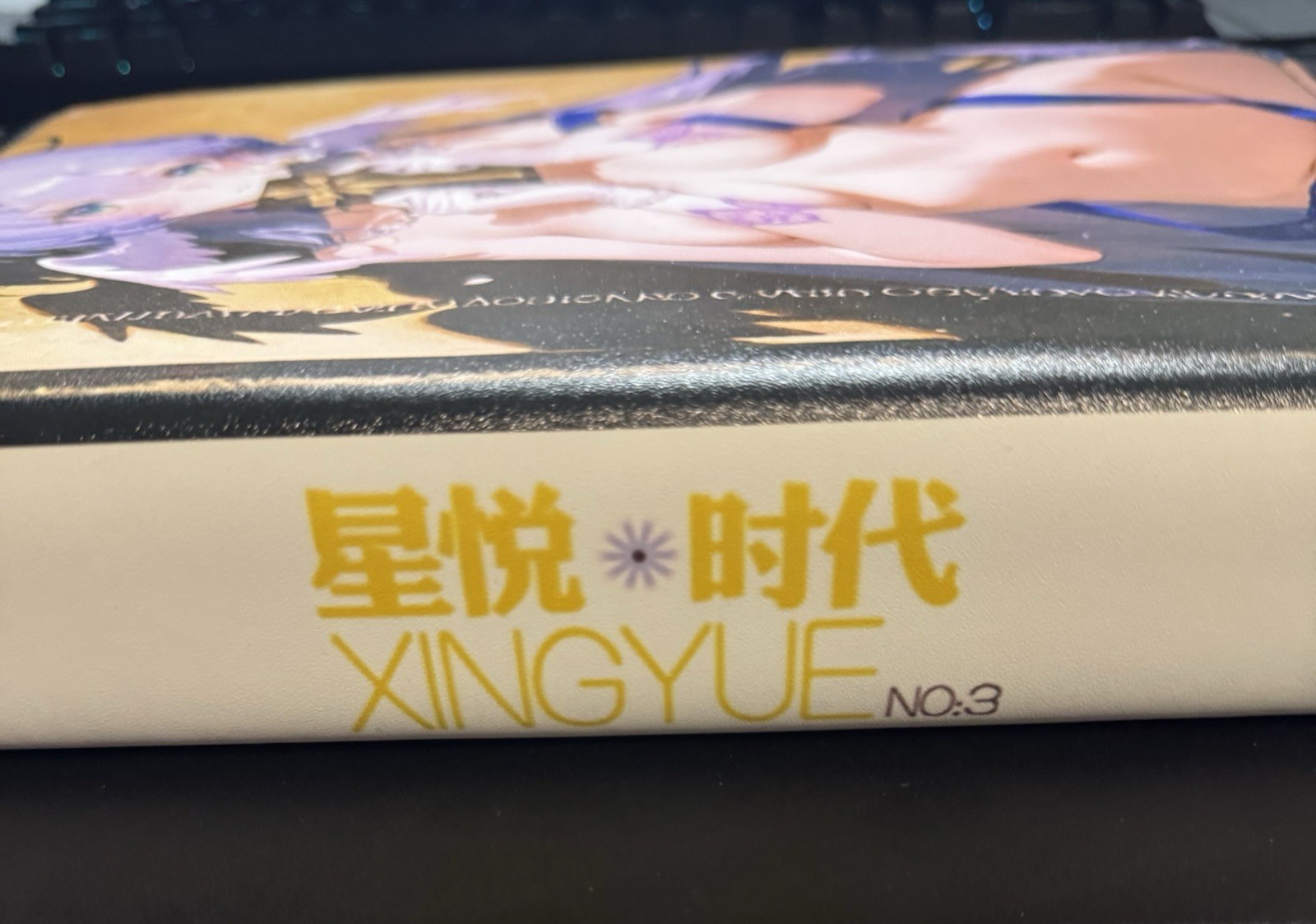 Robin Honkai Star Rail Binder 3-Ring Anime Waifu Double Sided Redemption Folder