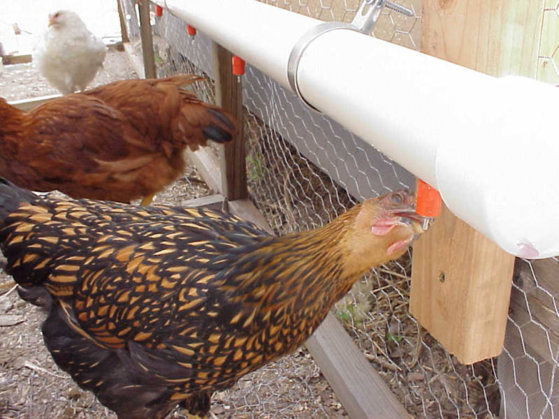 Push In Style Chicken Waterer Nipple make your Own SAVE