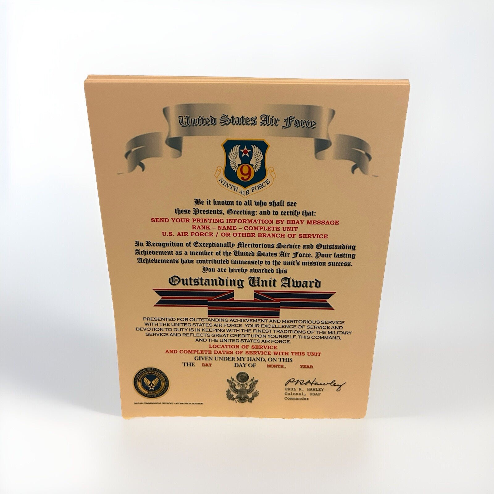 U.S. AIR FORCE / NINTH AIR FORCE - OUTSTANDING UNIT AWARD CERTIFICATE