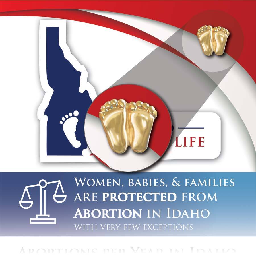 Precious Feet, Gold-Colored, Idaho Stats Card Jewelry, Lapel Pin