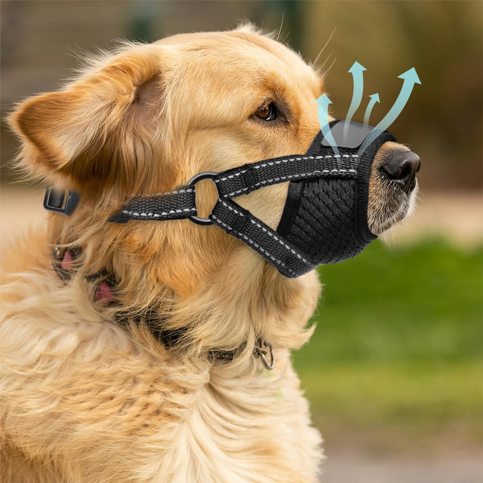 Dog Muzzle Medium Sized Dogs - Soft Muzzle for Medium Sized Dog with Air Mesh...