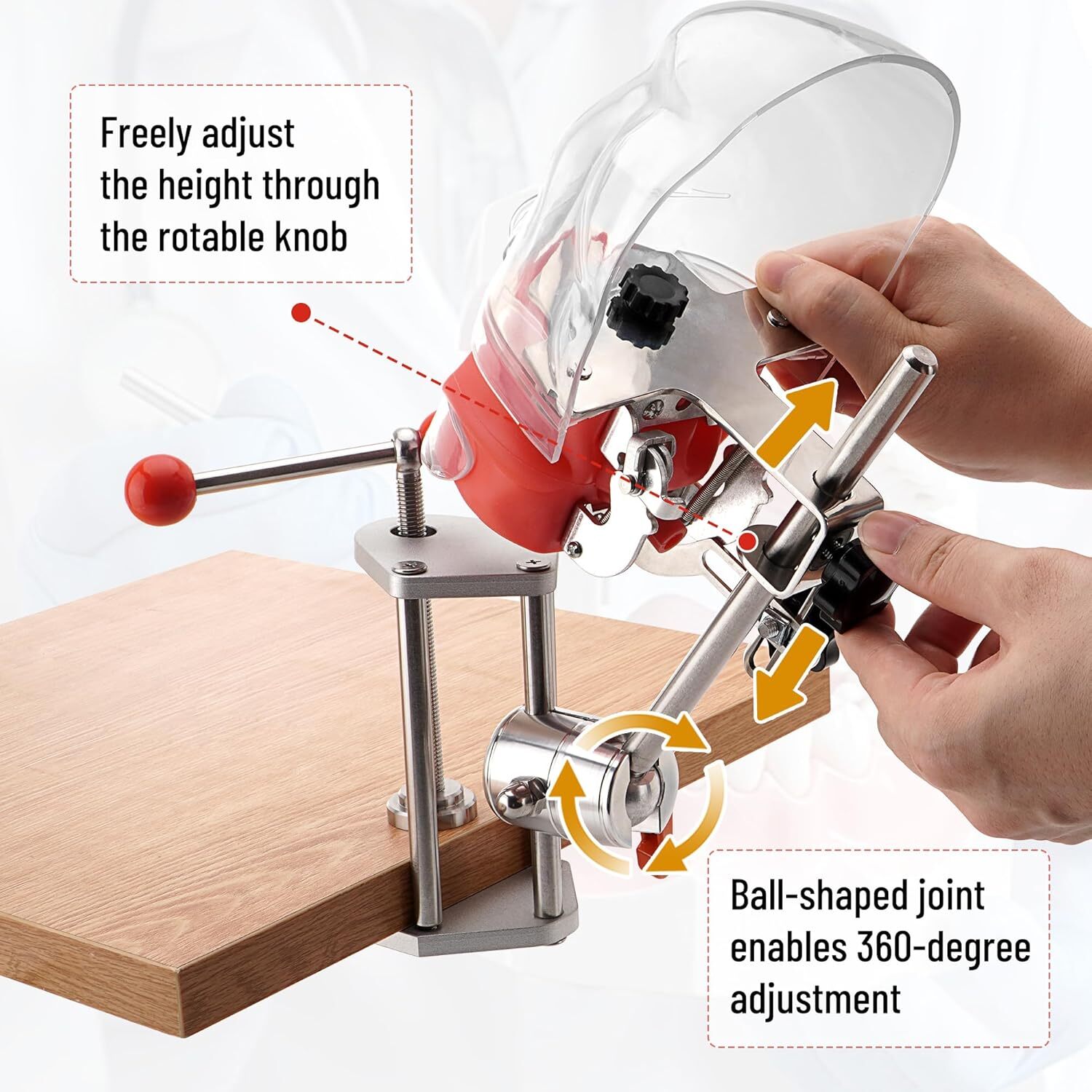 Teeth Model Head Model Training Mount Bench Training Manikin for Dental School