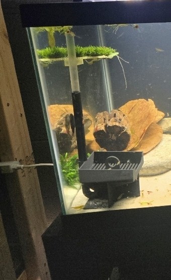 4x4 inch Fluval Breeder Box Egg Catcher