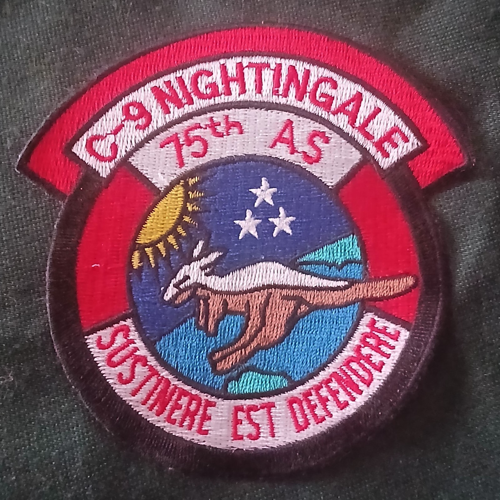 Patch USAF  Sqd. 75TH ASC-9 Nightingale