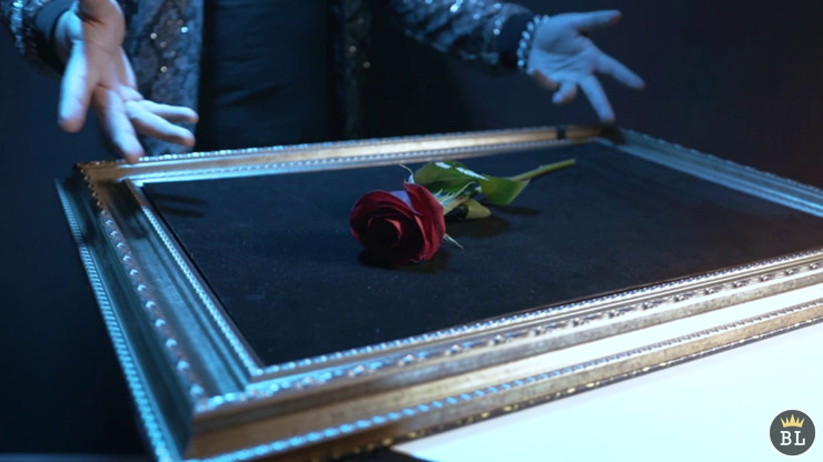 Visual Matrix AKA Rose Act Valorous Silver by Will Tsai and SansMinds