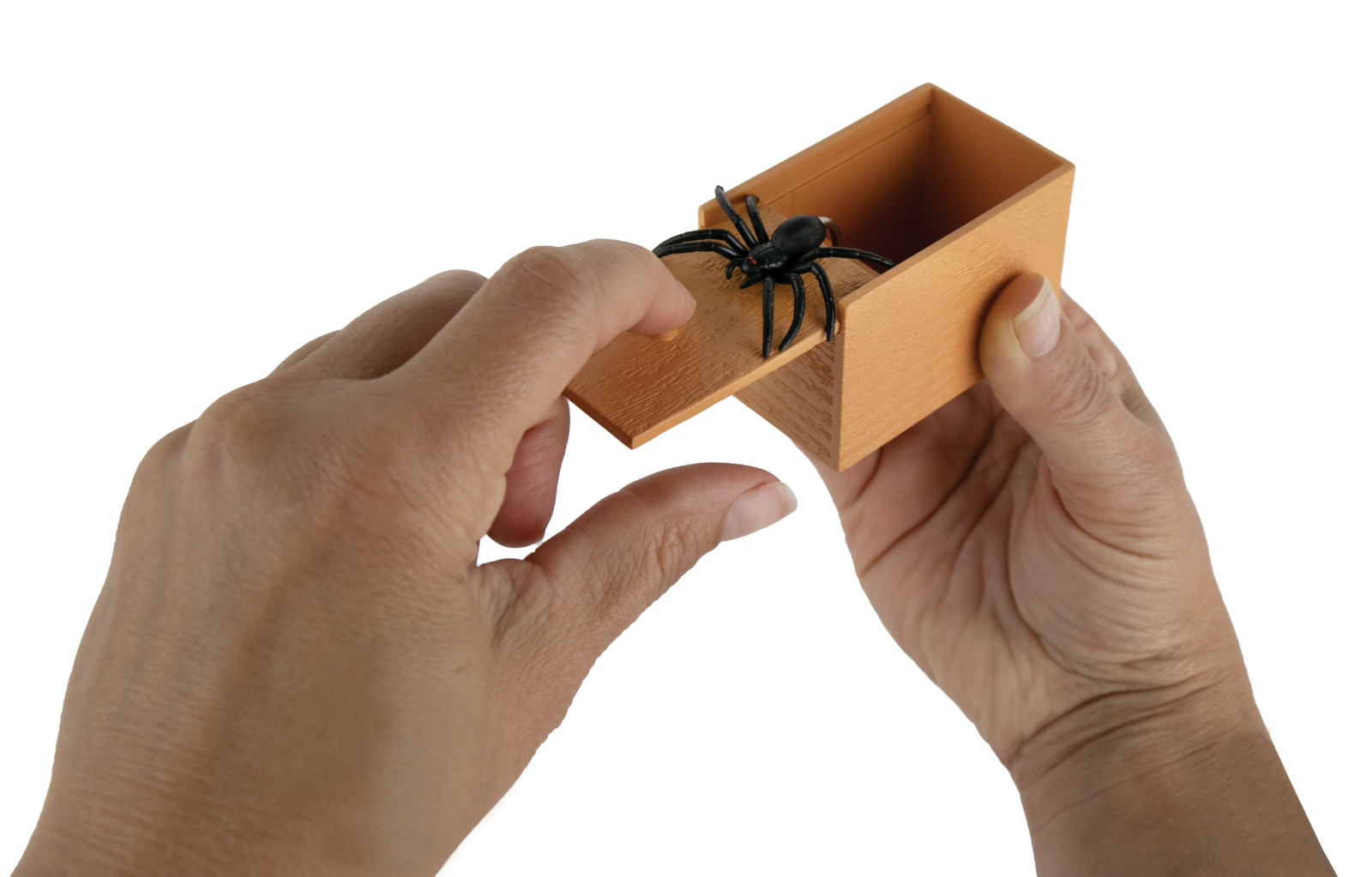 World's Smallest SPIDER BOX Scare Prank