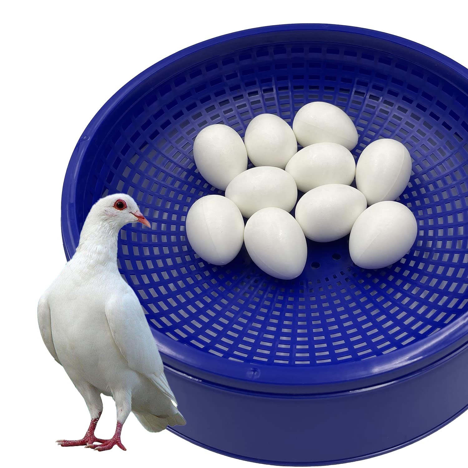 10pcs Solid Plastic Pigeon Eggs Fake for Racing Pigeons Hatching