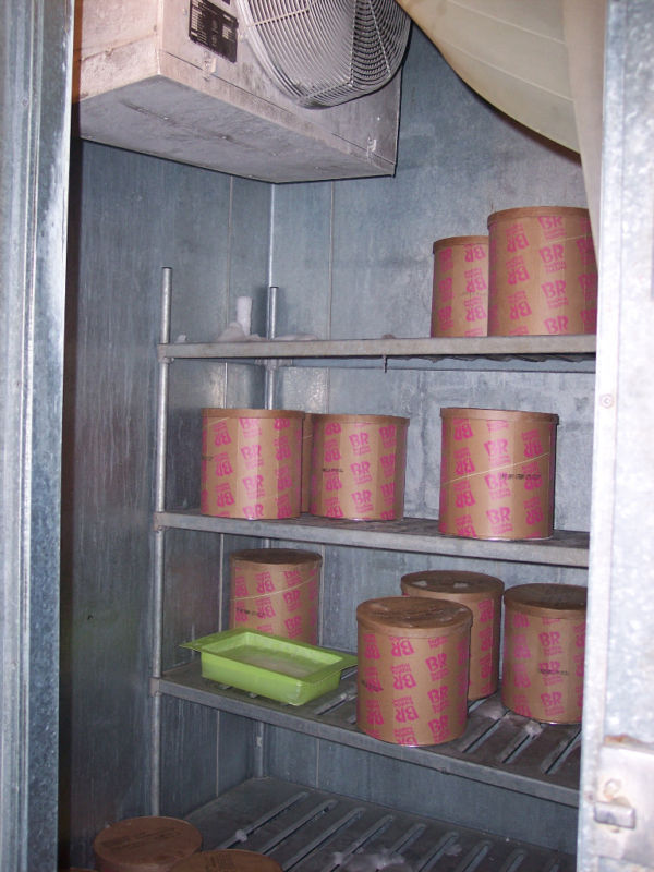 Complete Baskin-Robbins Ice Cream Store Equipment Package