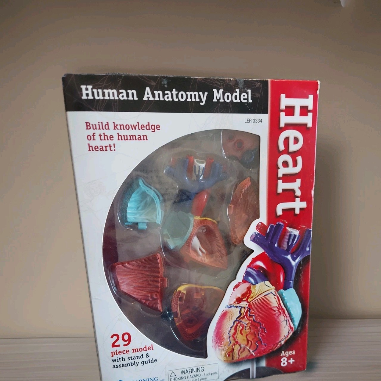 Learning Resources Human Anatomy Model LER 3334 The Heart 29 Piece Model NEW