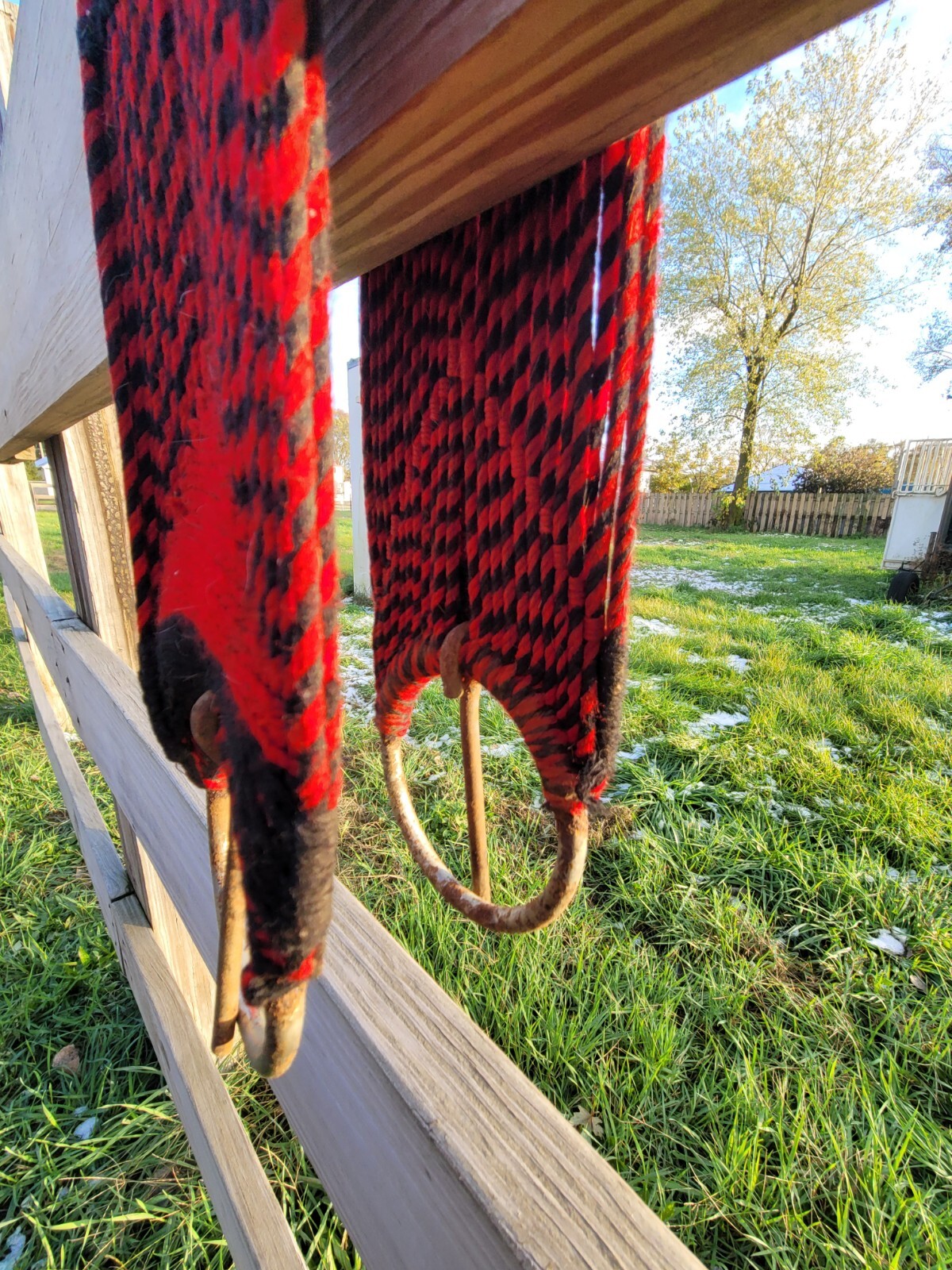 Horse Cinch Mecxican Charro
