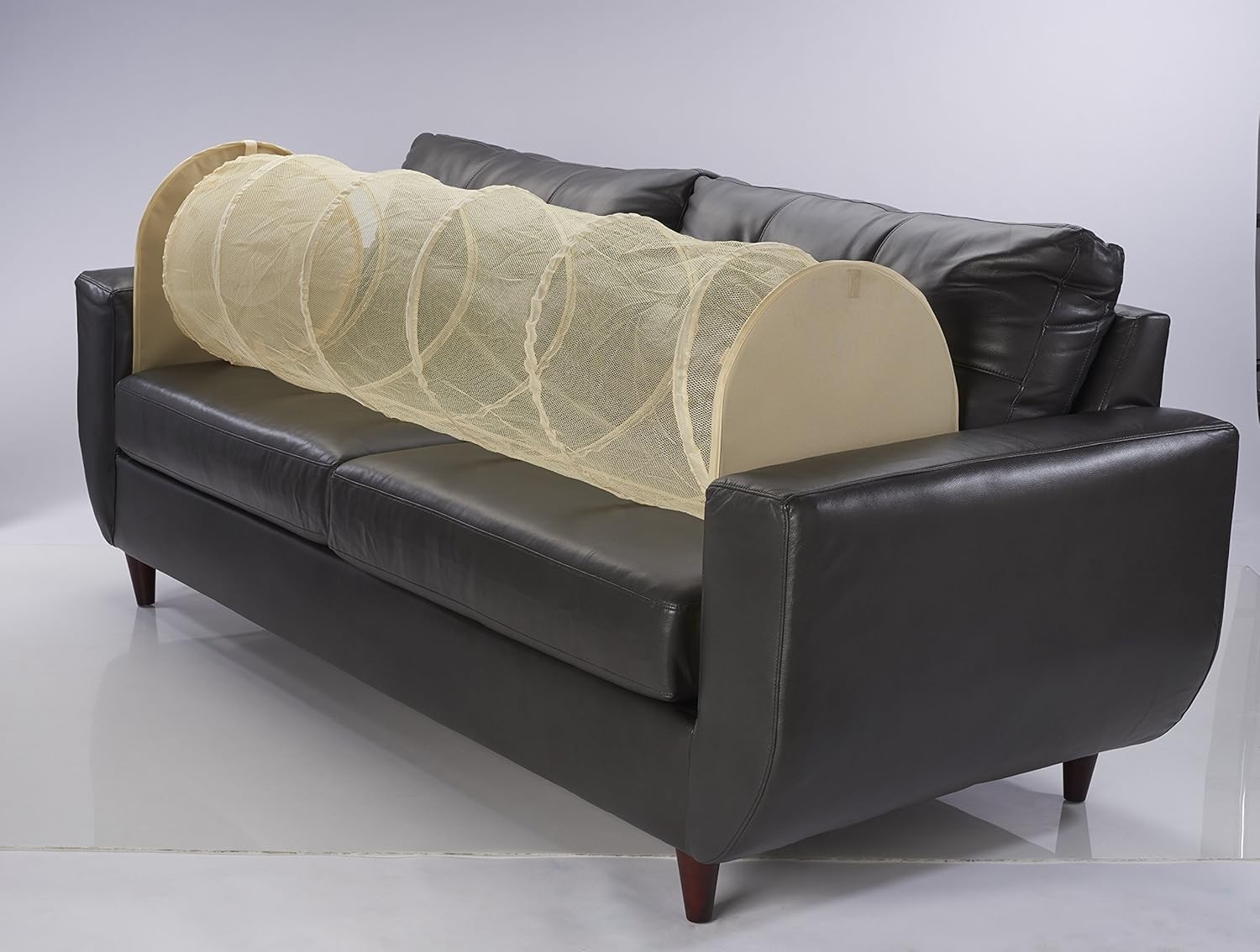 Keep Pets Off of Your Furniture Beige)