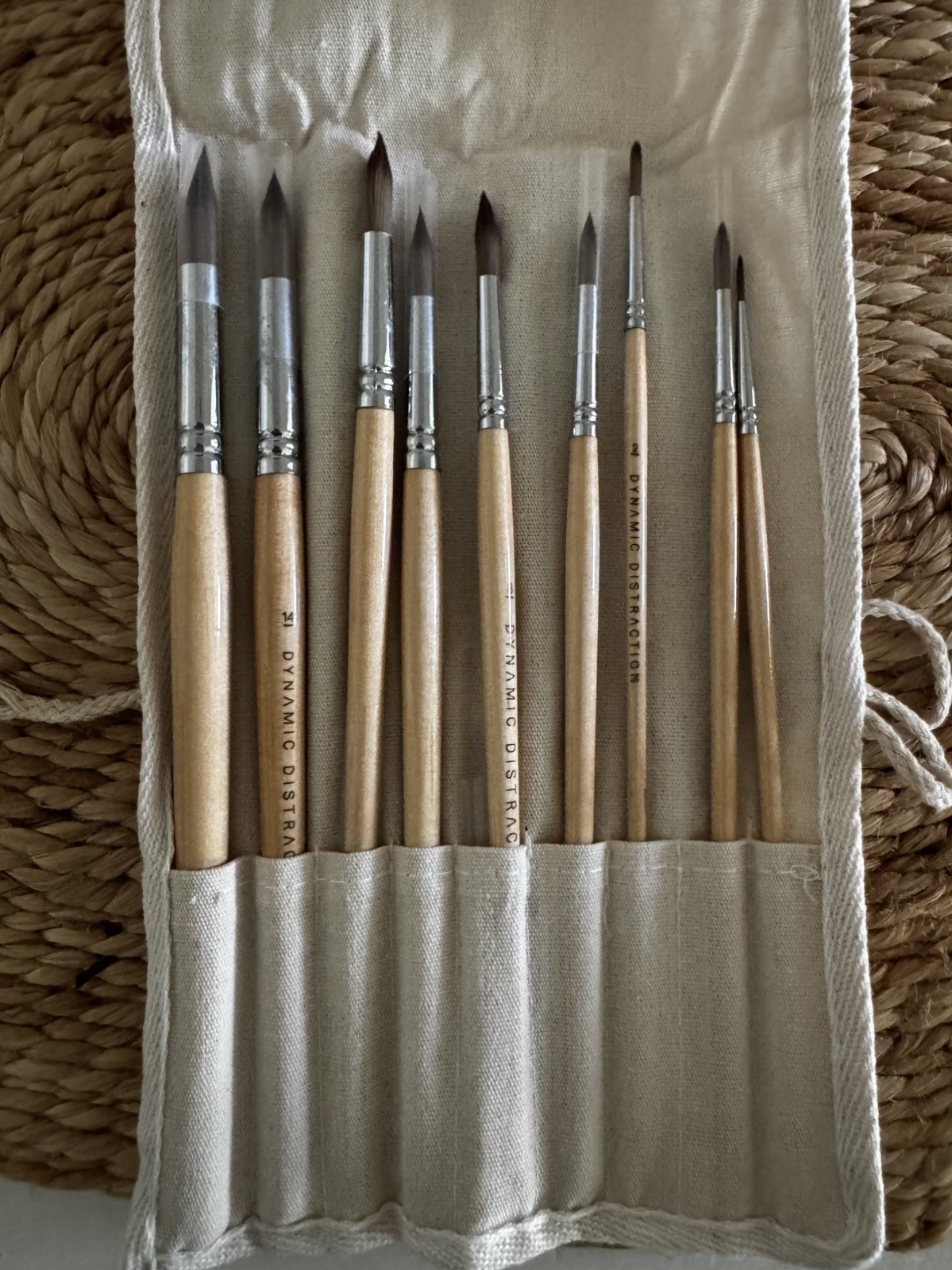 Dynamic Distraction Set Of  9 Paint Brush/Storage Wrap
