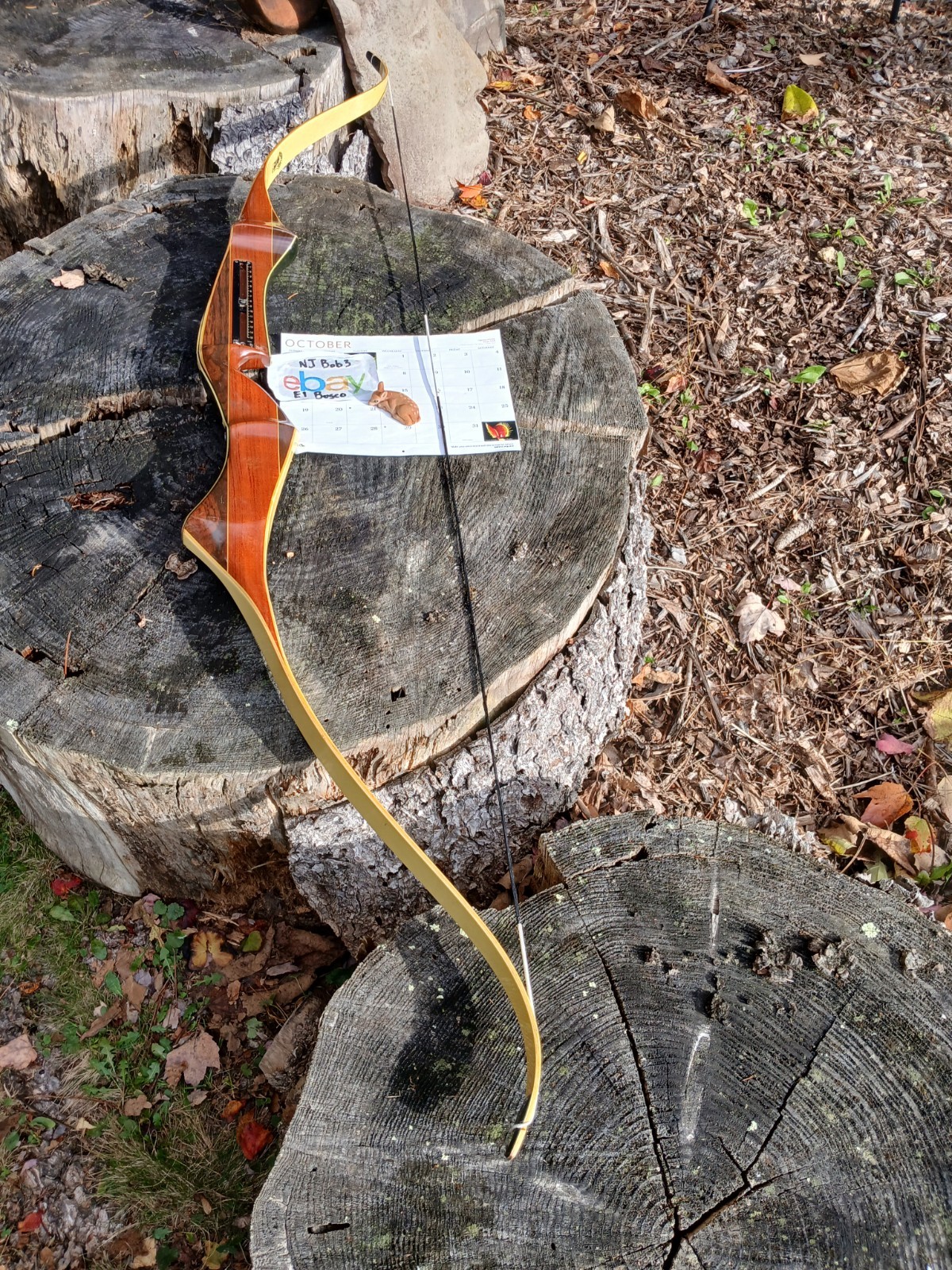 Vintage Bear Archery  Temujin recurve 34# 1968