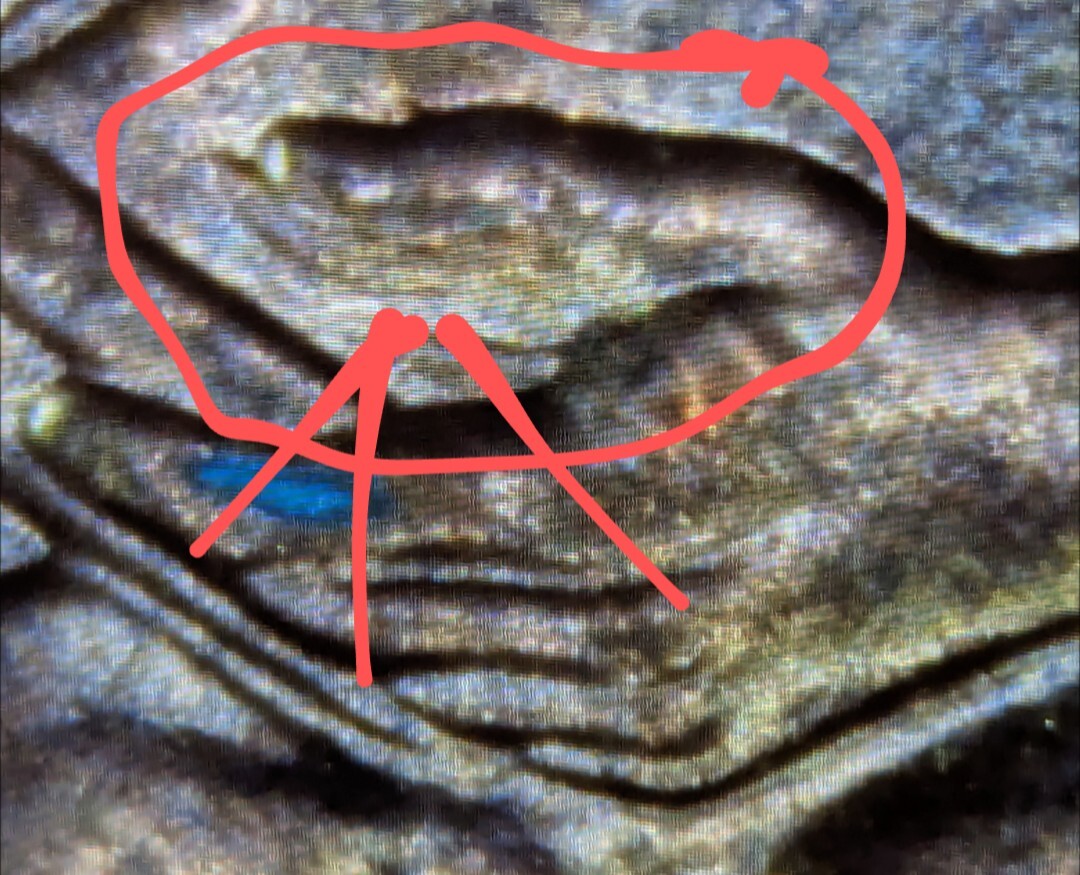 #1. Extra Finger Error 2009 Informative Years