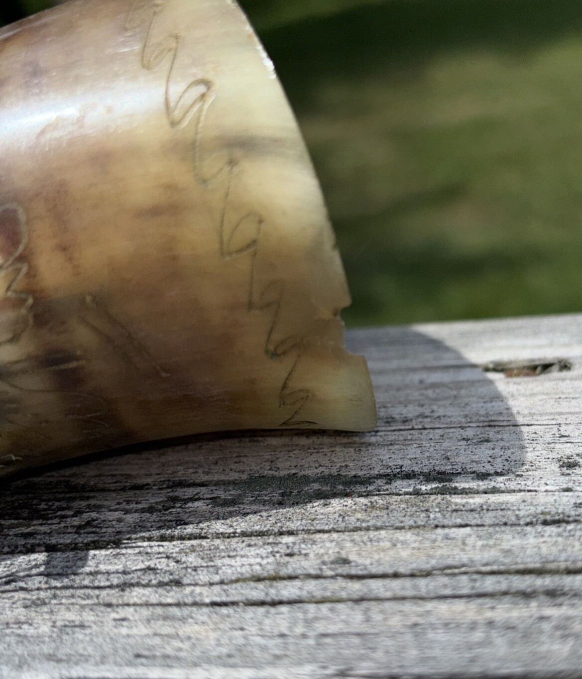 Antique Powder Horn Genuine Horn Brass Fittings Chain Carved Designs Signed Date