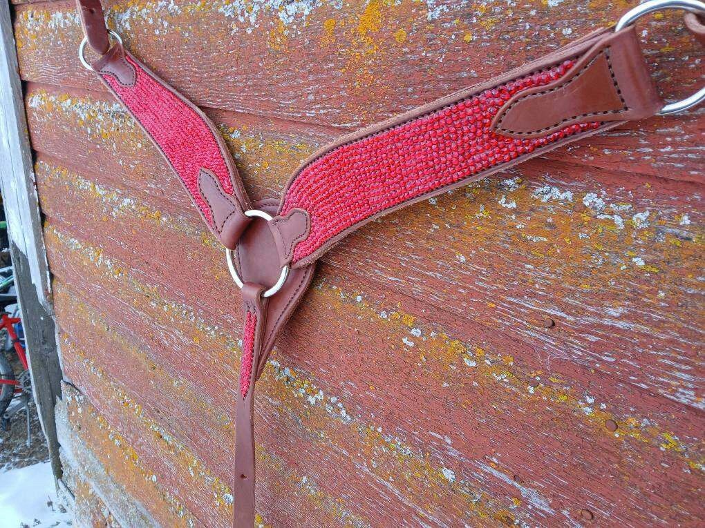 Custom Bedazzled Breast Collar!❤️