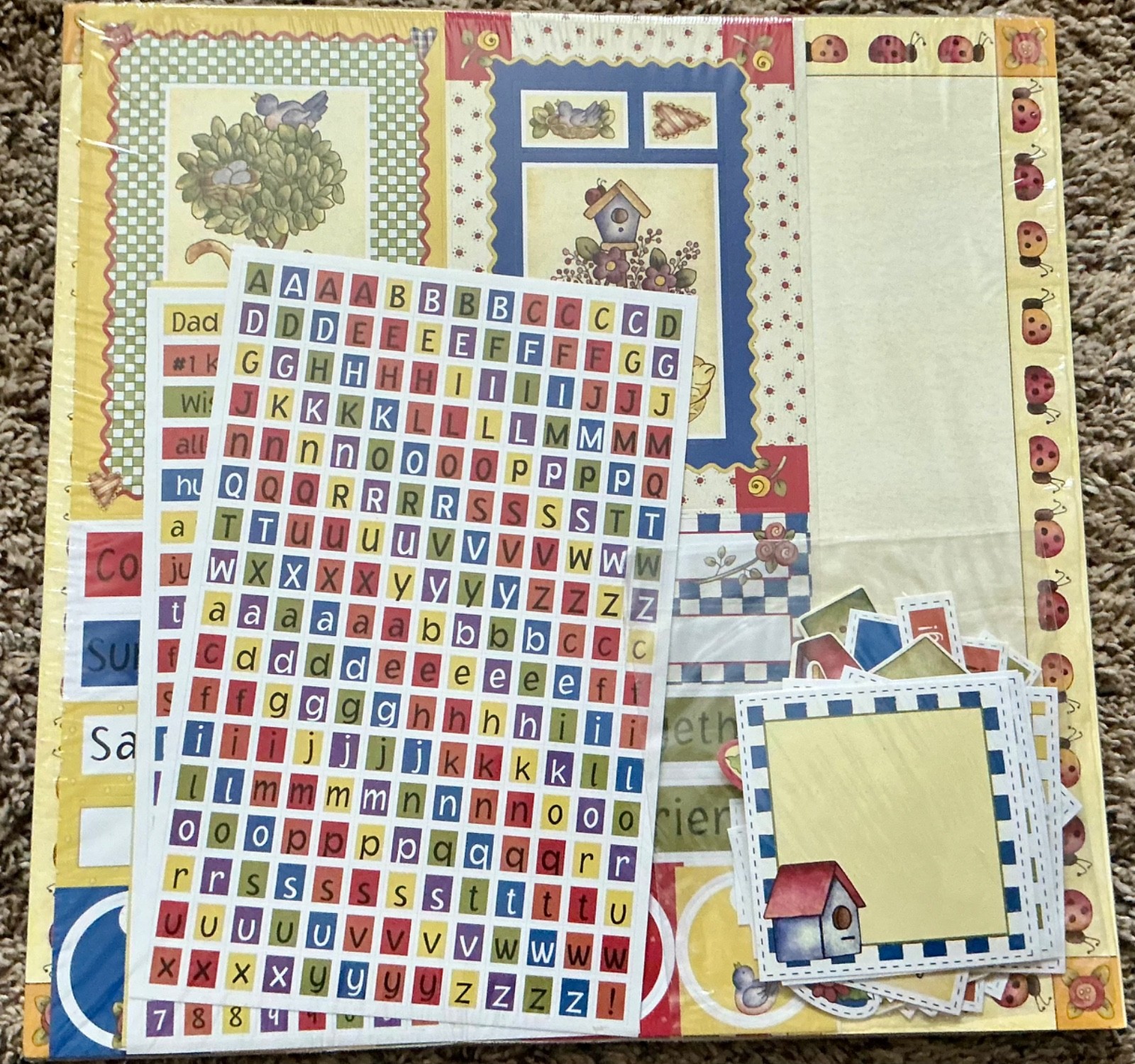 NEW SUMMER Scrapbook Page Kit 12" x 12" Paper Stickers Embellishments