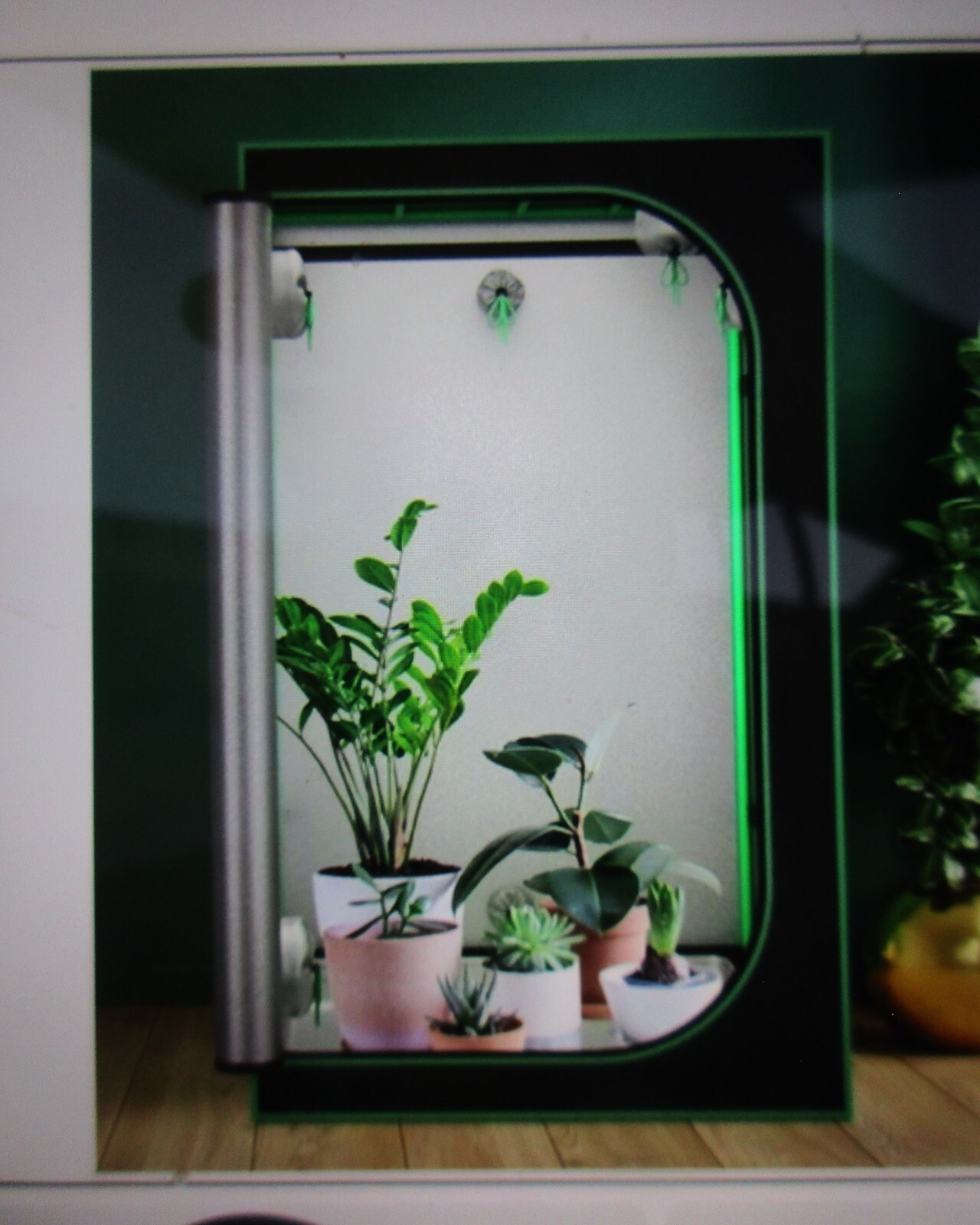 Grow Tent Garden 48"x48"x80" High, Reflective Mylar, Observation Window and Tray