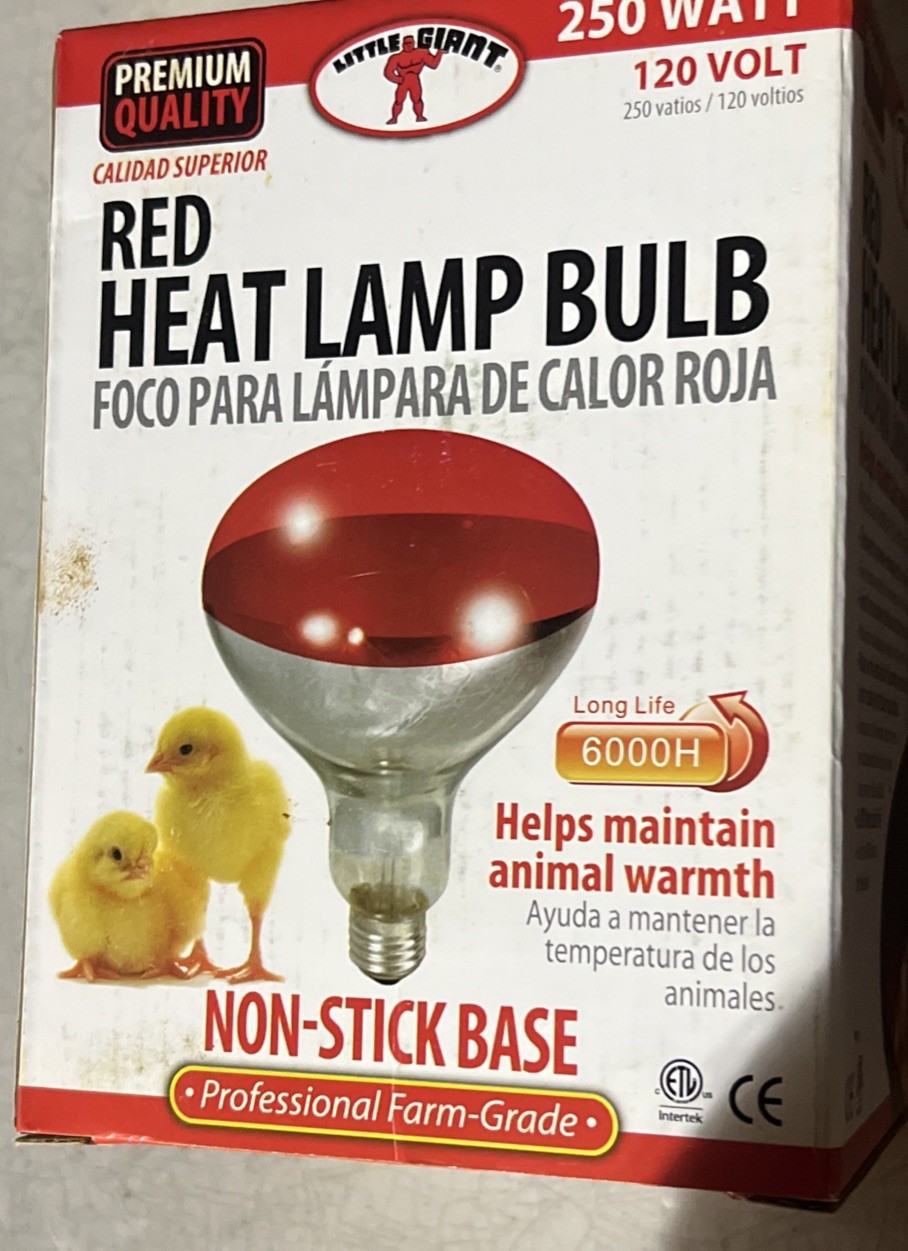 250 Watt Red Bulb For Brooder Lamp  Little Giant Red Heat Lamp Bulb 250 Watt