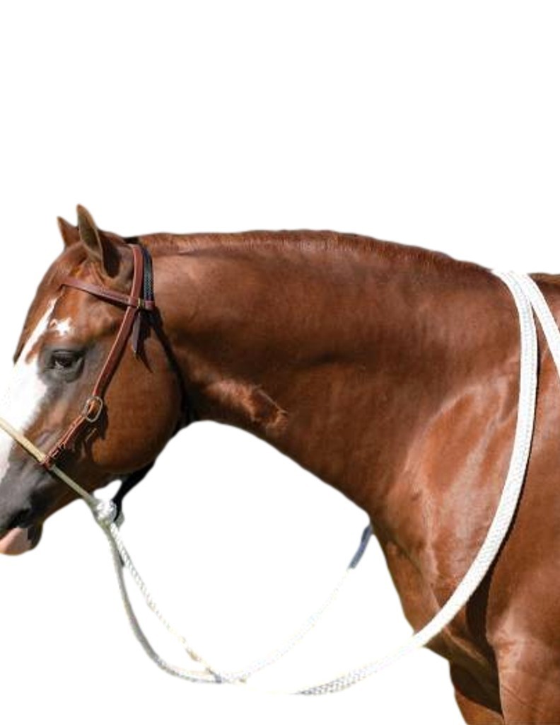 Professional's Choice Hackamore Loping Leather Reins Heavy Oil RH8167