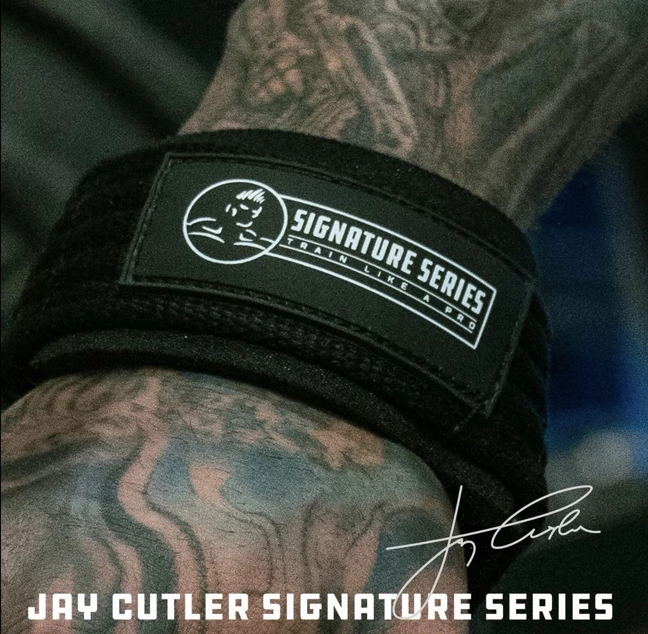 Jay Cutler Signature Series D Ring Lifting Straps, Thick Strap For Superior Grip