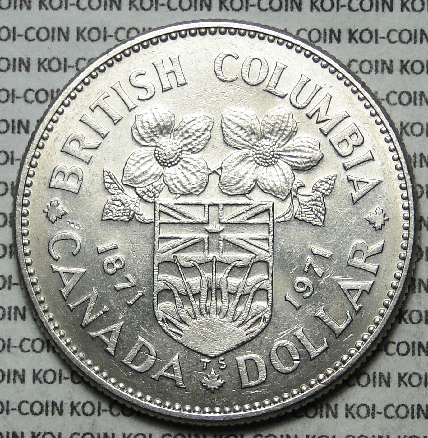 Canada 1871-1971 BC British Columbia large dollar $1 nickel lightly circulated