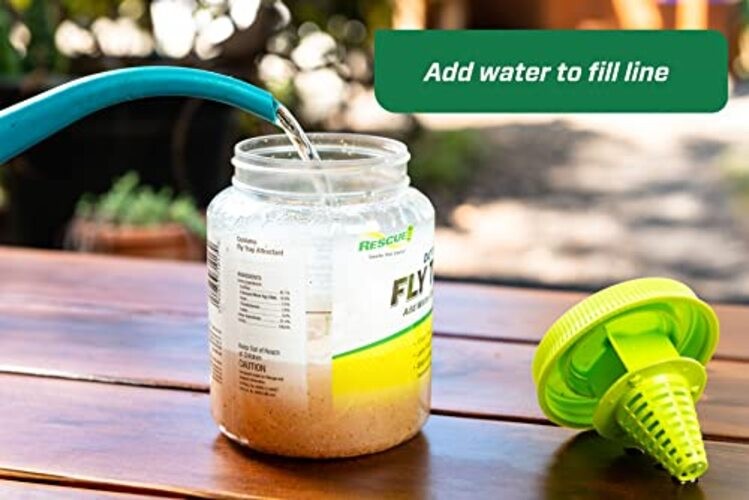 Outdoor Fly Trap - Reusable - 3 Traps