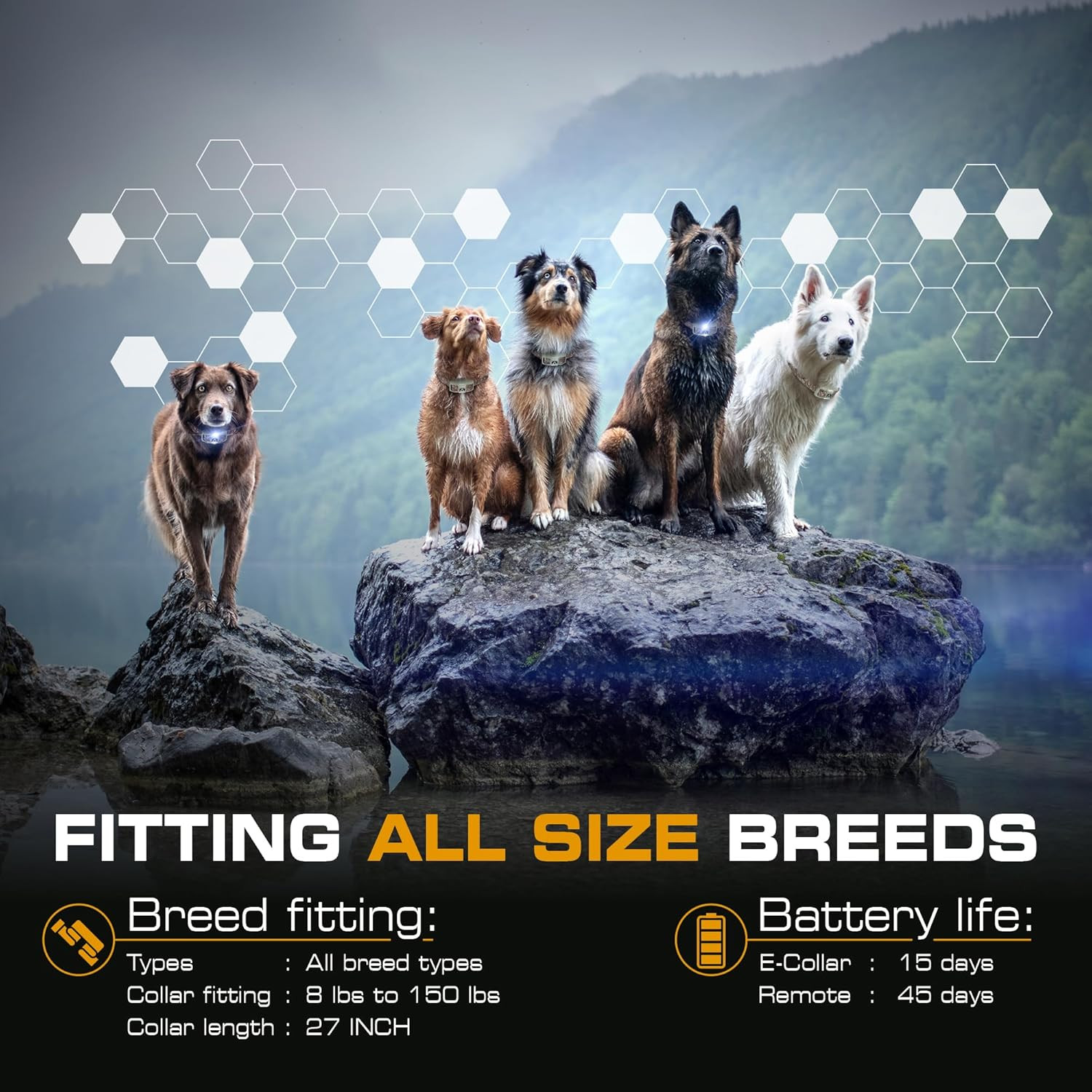 Dual Dog Shock Collar - 124 Levels, 4 Modes, ¾ Mile Range, Safe & Waterproof