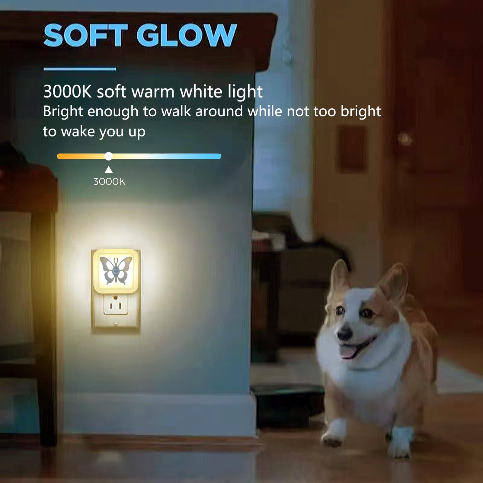 Smart LED Night Light [2-Pack], Plug-in with Auto Dusk to Dawn Sensor | Dimma...