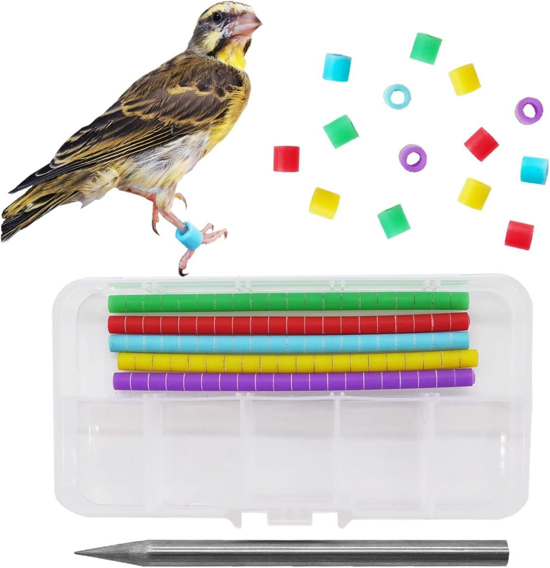 100 Pcs Bird Ring Leg Bands for Gouldian Zebra Finch Canary Society