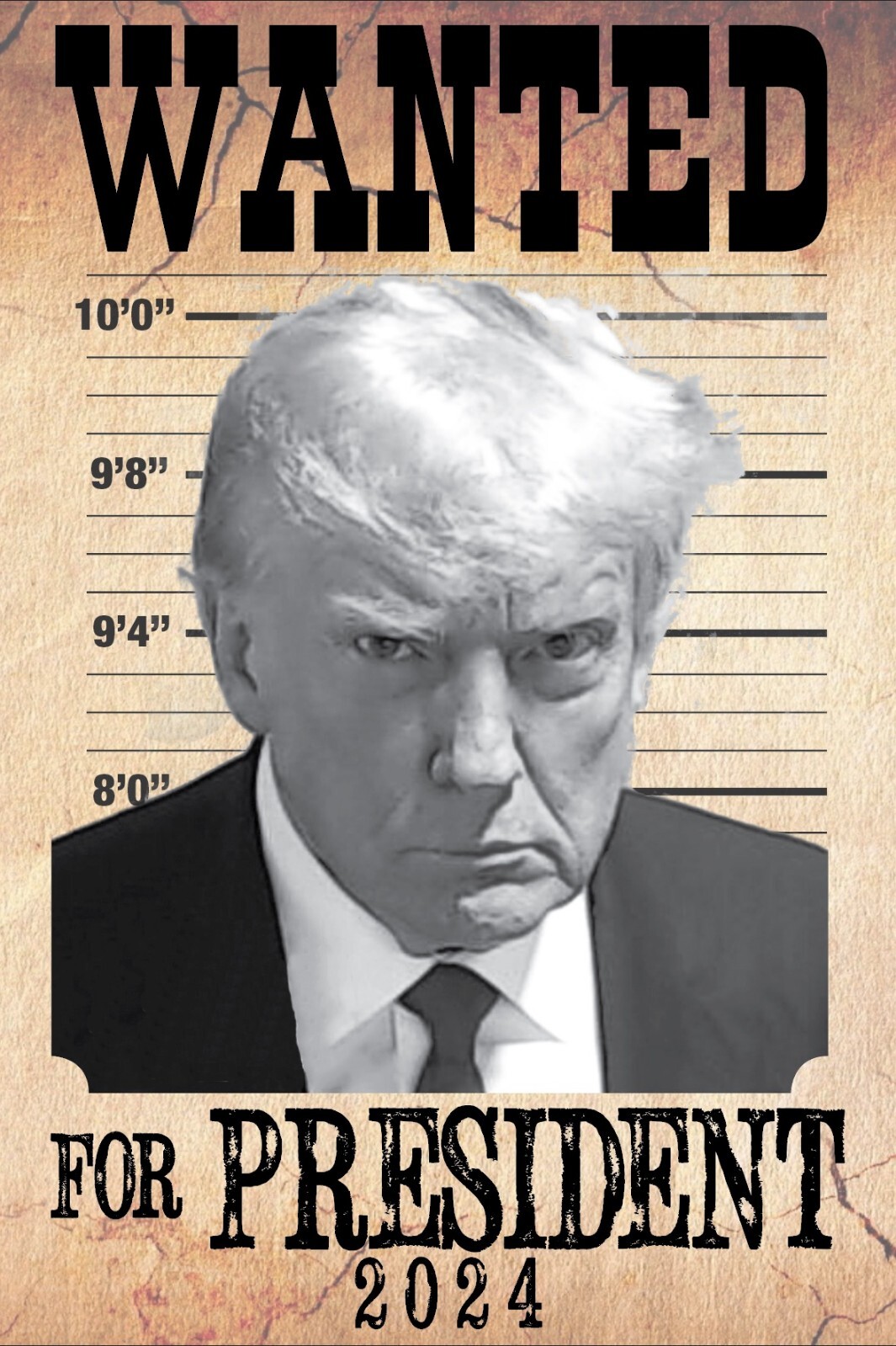 Donald Trump Mug Shot Sticker - 10 FEET TALL 4x6 inch STICKERS TRUMP 2024 FJB
