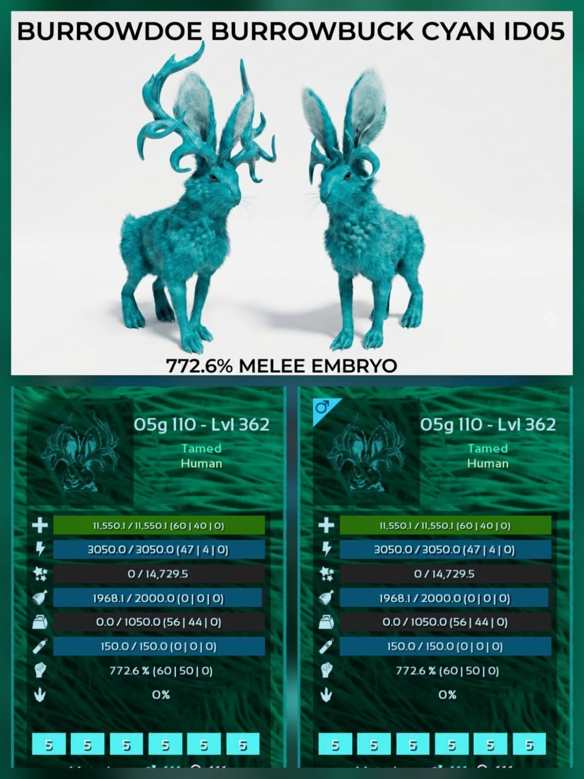 BURROWBUCK BURROWDOE - Top Stats - Embryo - Ark Ascended PVE Official Crossplay
