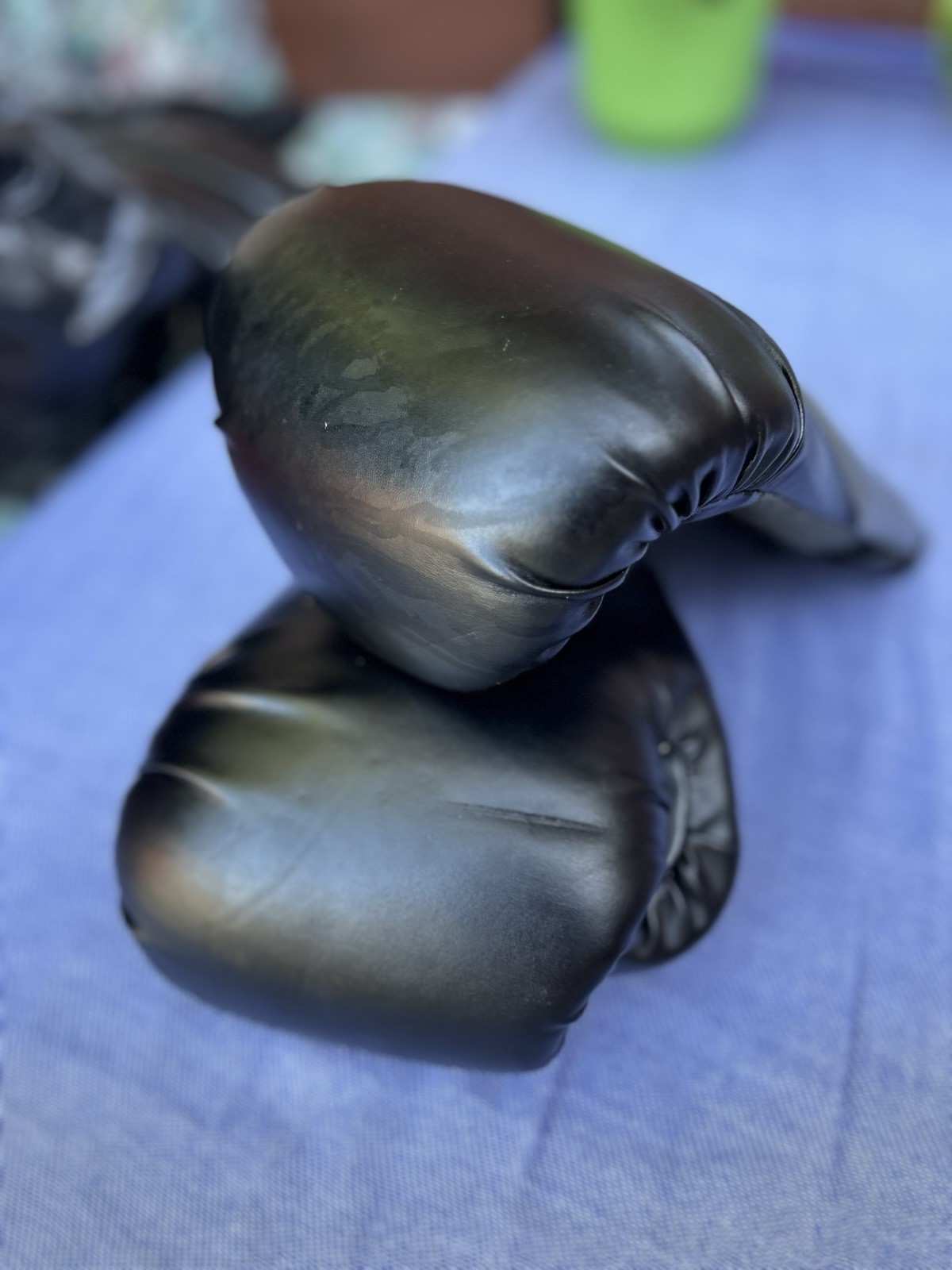 Everlast Training Boxing Gloves Pro Style Elite Evershield 16 Ounces Black Gray