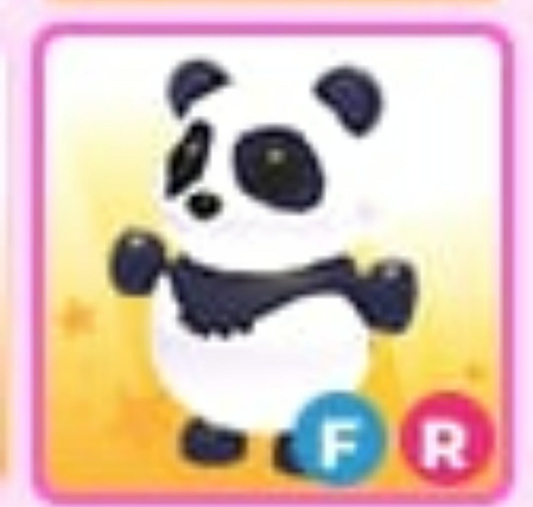 Giant Panda | NFR | Adopt Now