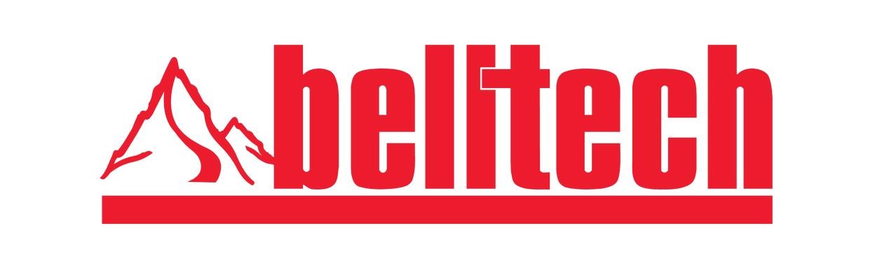 Belltech 1034TP Front and Rear Trail Performance Struts