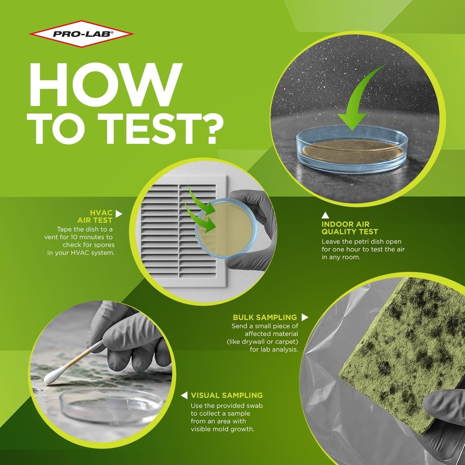 Home Mold Kit: Air, Surface, Bulk Samples + Lab Fee, Expert Advice Included