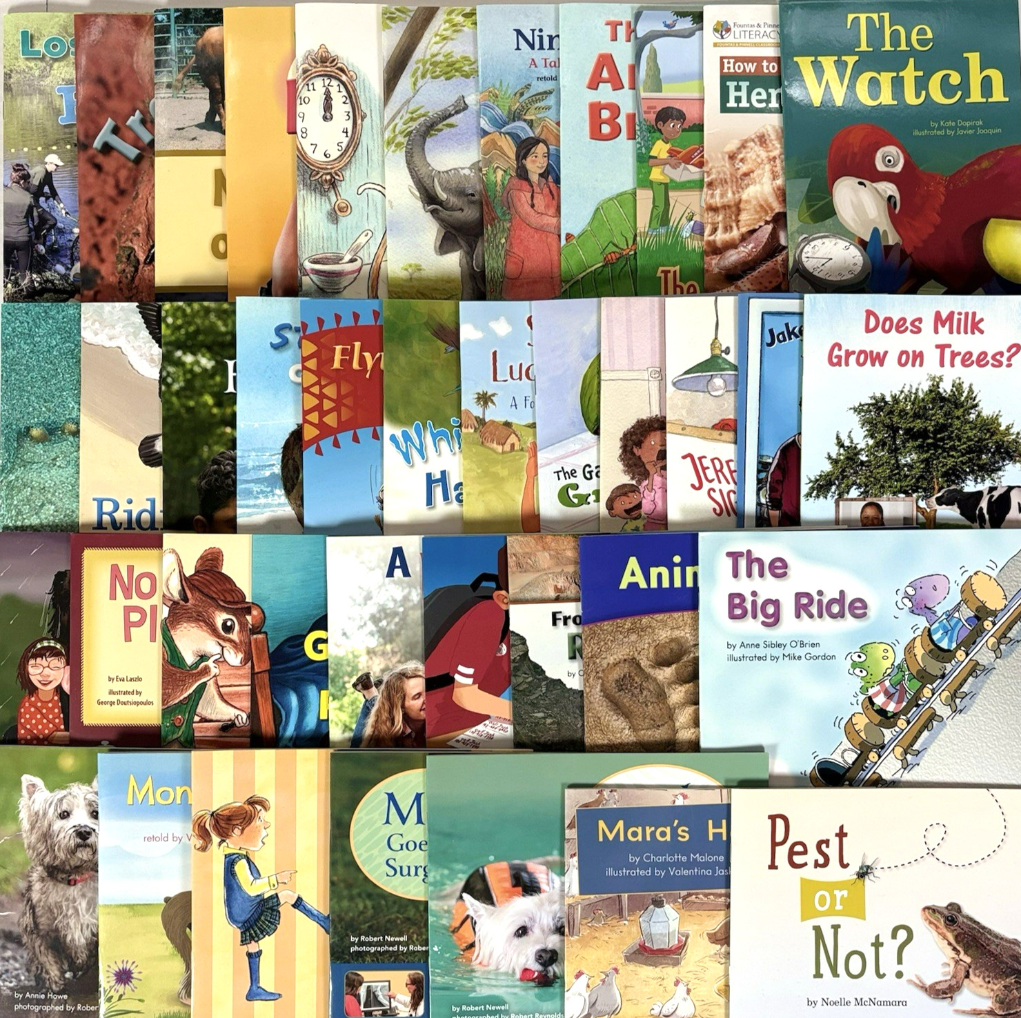 FOUNTAS & PINNELL Level Readers 2nd Grade F-N  | 40-Book Library #2