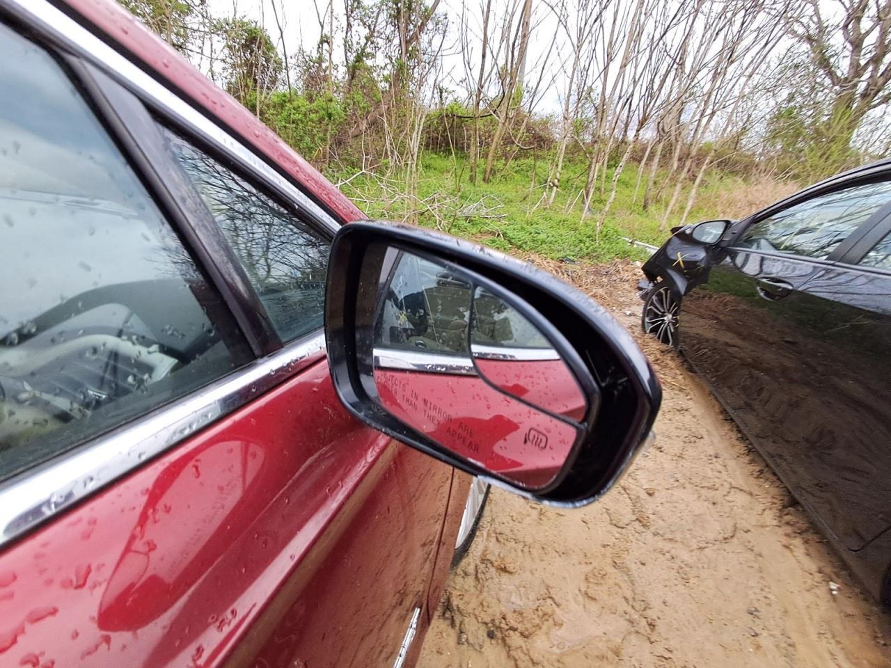FUSION 2016 Transmission Shift 2888529