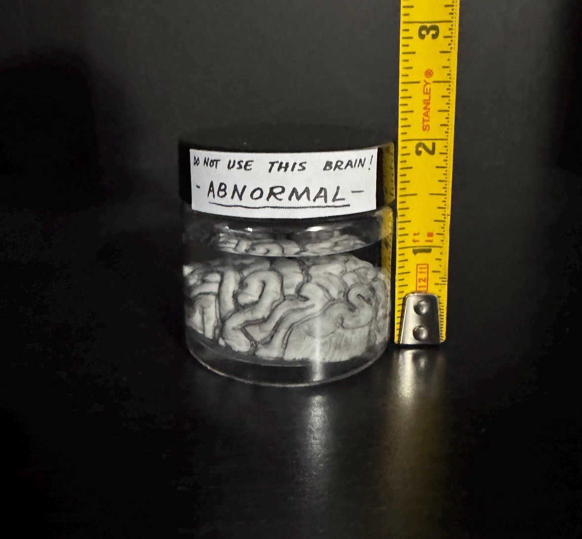 Abnormal Brain Black & White Mini Prop Replica Young Frankenstein