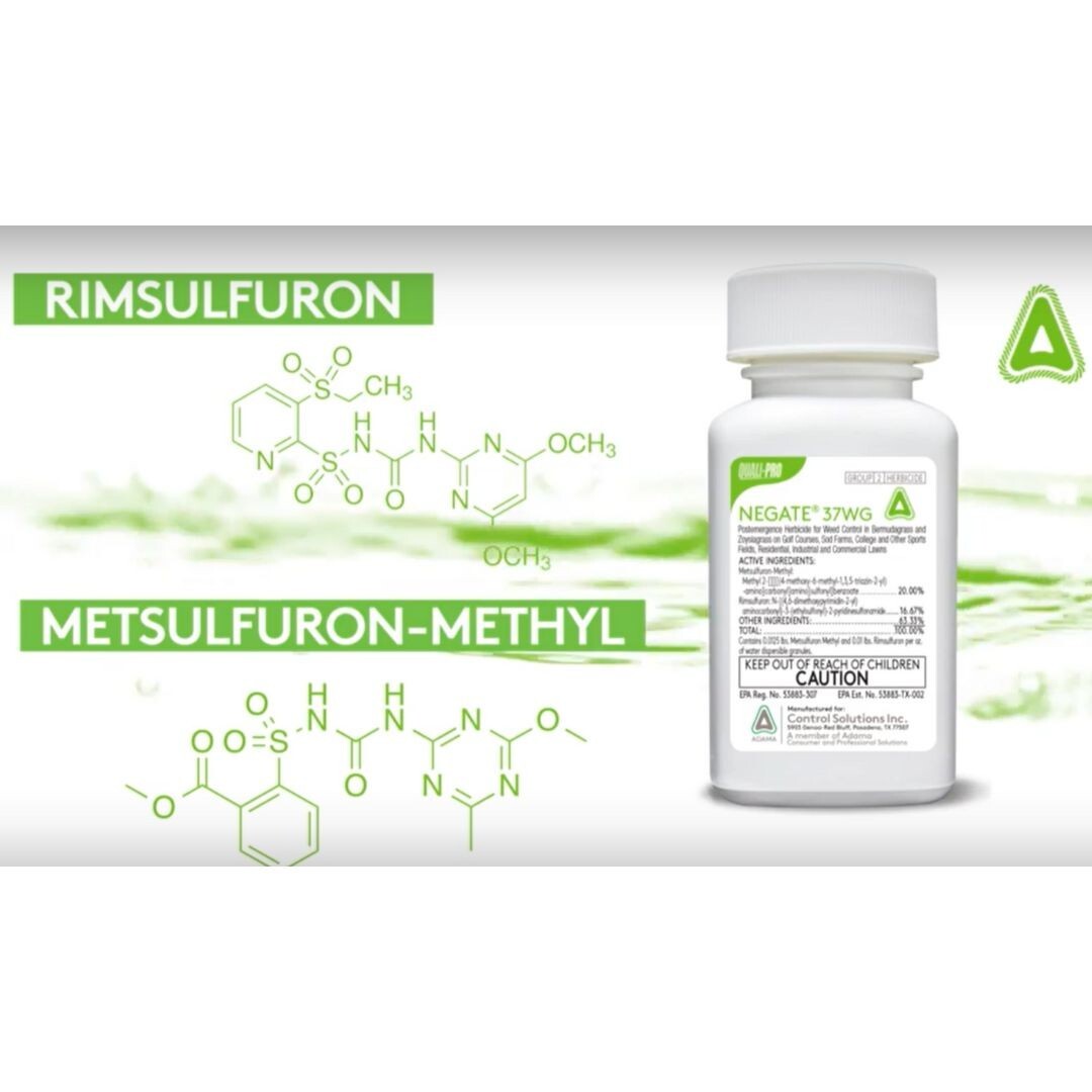 Negate 37WG Herbicide – Powerful, Dual-Action Weed Control for Turfgrass