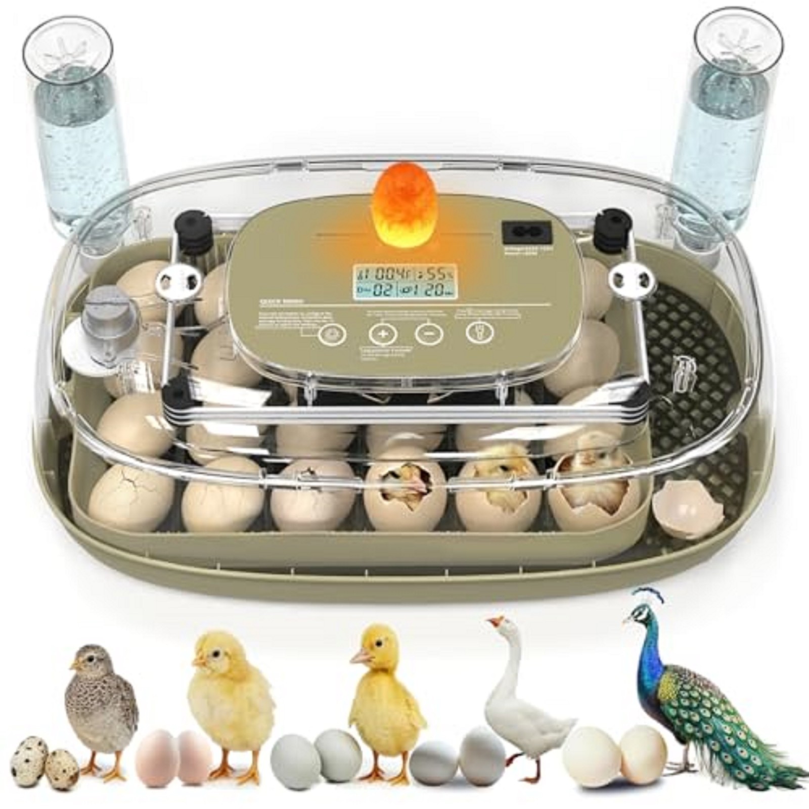 Incubadora De Huevos Automatica Para Huevos De Pato Gallina Codorniz 24 Huevos