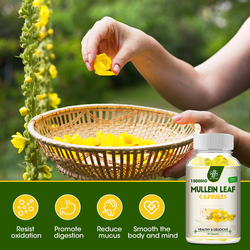 Mullein Leaf Capsules For Lung Cleansing & Detox Herbal Dietary Supplement